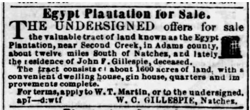 newspaper Ad for Egypt Plantation