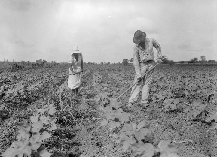 Photo of Tenant Farmers in 1936