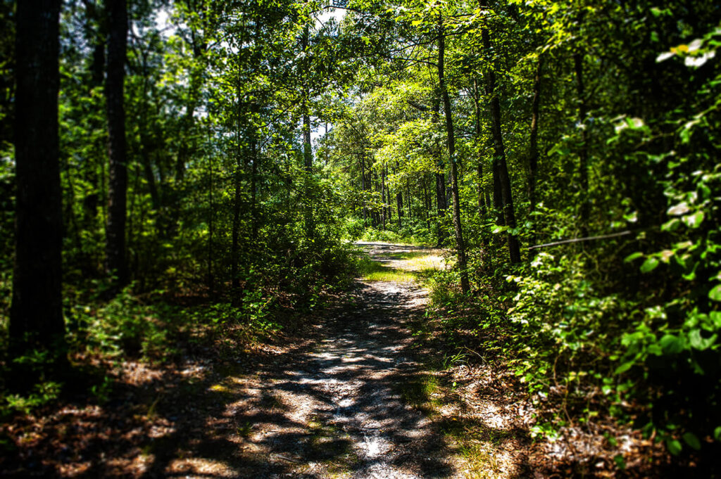pathway to campground