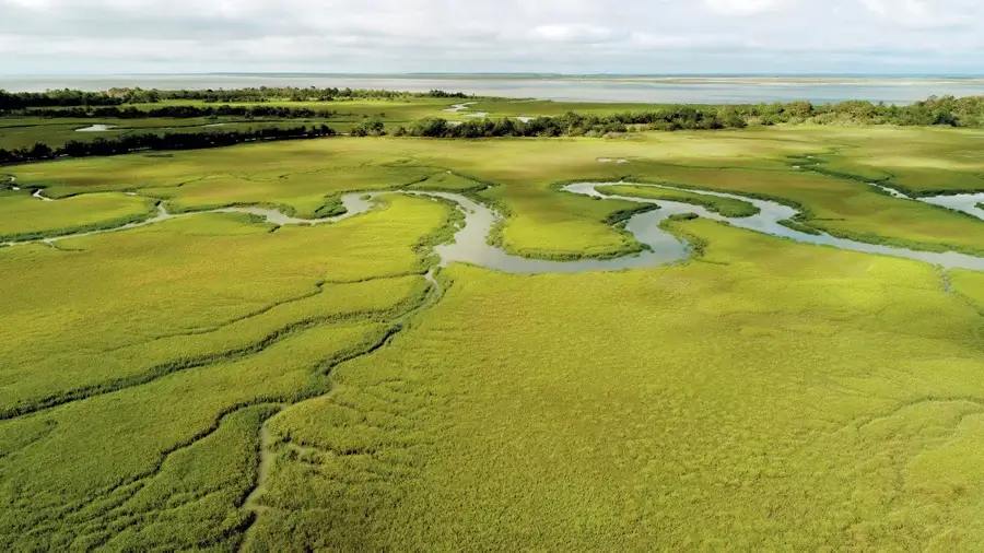 irrigation systems created by gullah geechee in sapelo island