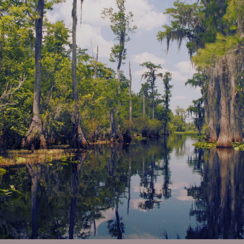 Southern Society- Travel