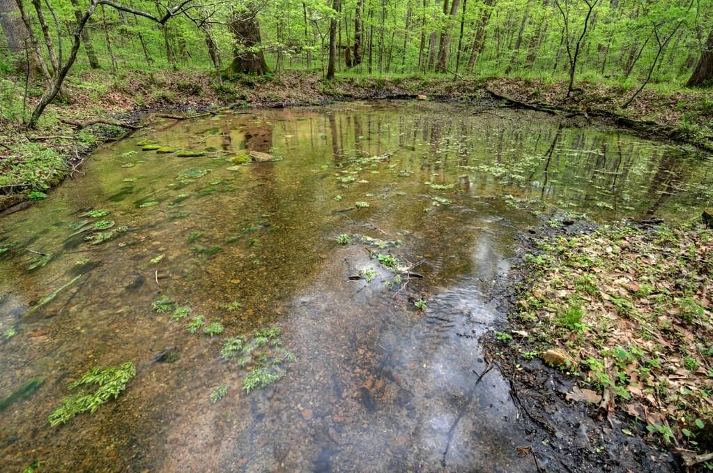 Hall Springs also known as Werewolf Springs