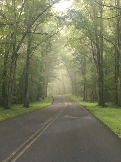 Montgomery Bell Park