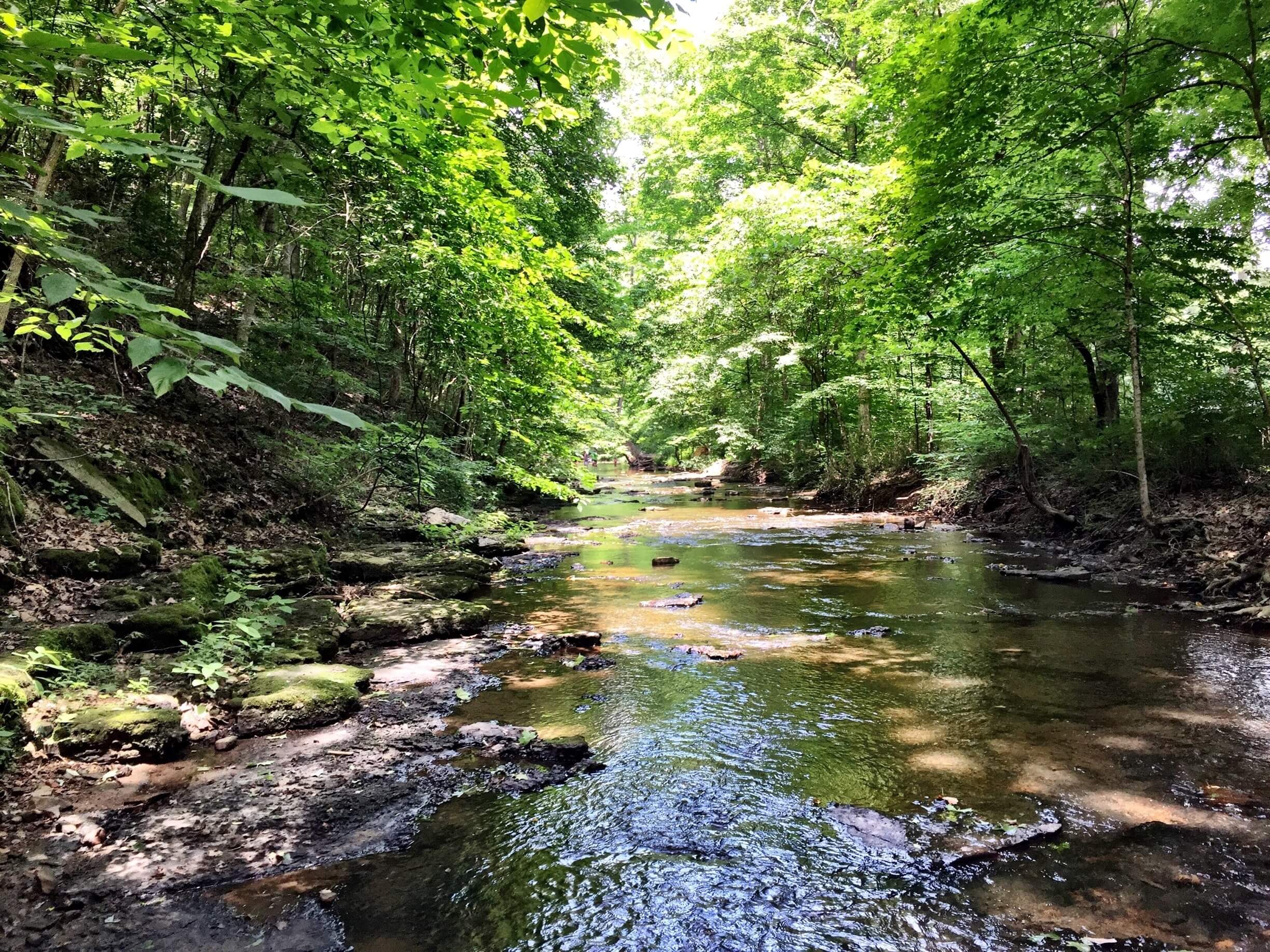 Tennessee hiking trail